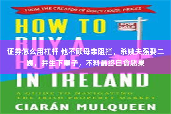 证券怎么用杠杆 他不顾母亲阻拦，杀姨夫强娶二姨，并生下皇子，不料最终自食恶果