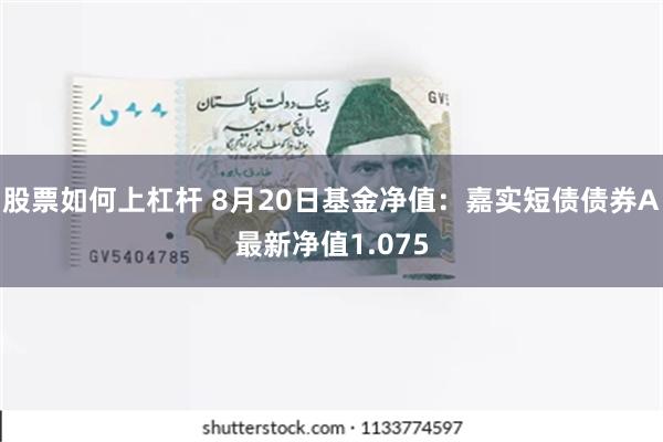 股票如何上杠杆 8月20日基金净值：嘉实短债债券A最新净值1.075