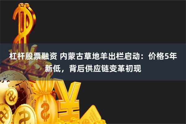 杠杆股票融资 内蒙古草地羊出栏启动：价格5年新低，背后供应链变革初现