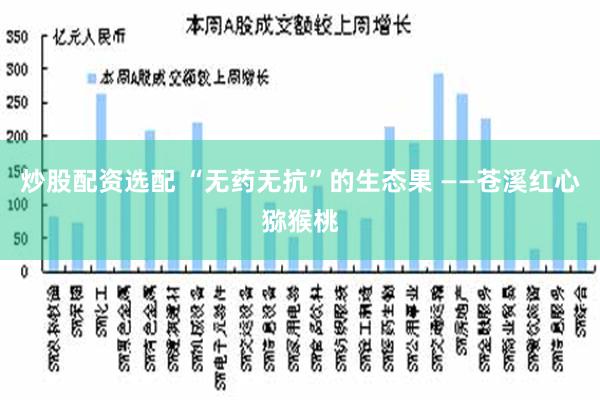 炒股配资选配 “无药无抗”的生态果 ——苍溪红心猕猴桃