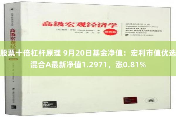 股票十倍杠杆原理 9月20日基金净值：宏利市值优选混合A最新净值1.2971，涨0.81%