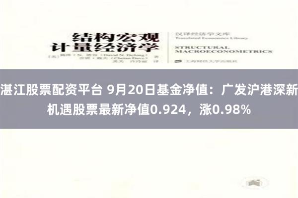 湛江股票配资平台 9月20日基金净值：广发沪港深新机遇股票最新净值0.924，涨0.98%