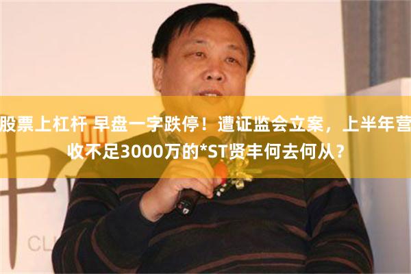 股票上杠杆 早盘一字跌停！遭证监会立案，上半年营收不足3000万的*ST贤丰何去何从？