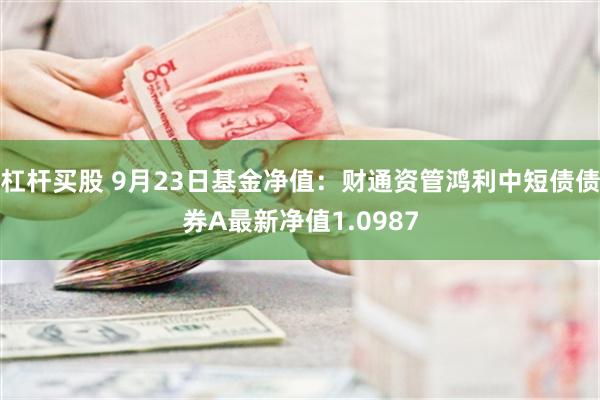 杠杆买股 9月23日基金净值：财通资管鸿利中短债债券A最新净值1.0987