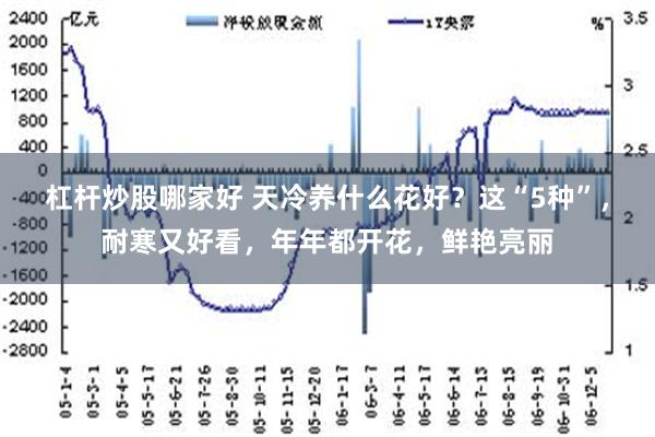 杠杆炒股哪家好 天冷养什么花好？这“5种”，耐寒又好看，年年都开花，鲜艳亮丽