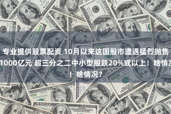 专业提供股票配资 10月以来这国股市遭遇猛烈抛售超1000亿元 超三分之二中小型股跌20%或以上！啥情况？