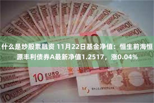 什么是炒股票融资 11月22日基金净值：恒生前海恒源丰利债券A最新净值1.2517，涨0.04%