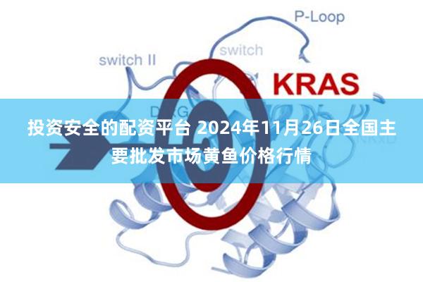 投资安全的配资平台 2024年11月26日全国主要批发市场黄鱼价格行情