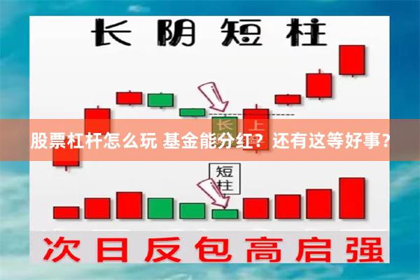 股票杠杆怎么玩 基金能分红？还有这等好事？