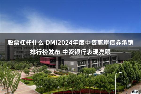 股票杠杆什么 DMI2024年度中资离岸债券承销排行榜发布 中资银行表现亮眼