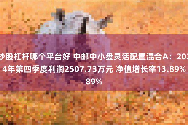 炒股杠杆哪个平台好 中邮中小盘灵活配置混合A：2024年第四季度利润2507.73万元 净值增长率13.89%