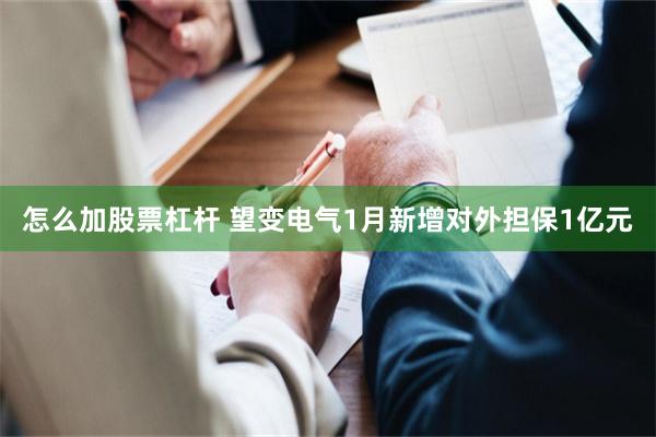 怎么加股票杠杆 望变电气1月新增对外担保1亿元