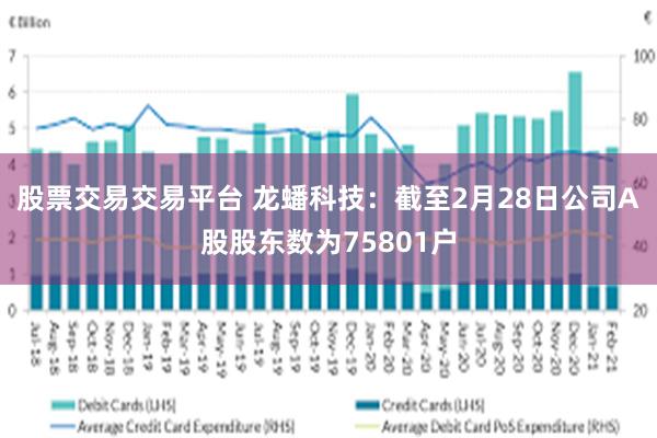 股票交易交易平台 龙蟠科技：截至2月28日公司A股股东数为75801户