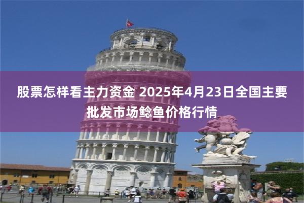 股票怎样看主力资金 2025年4月23日全国主要批发市场鲶鱼价格行情