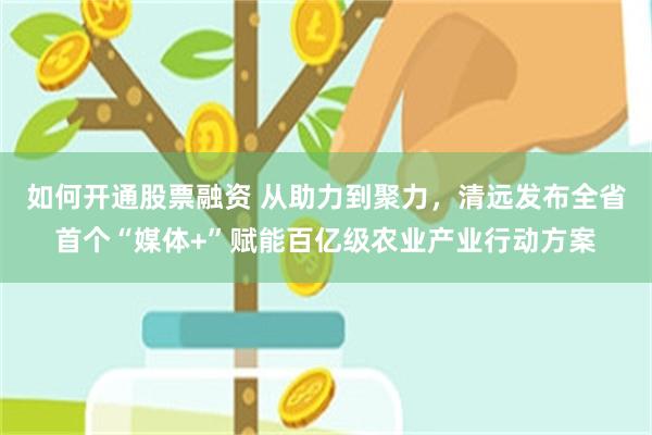如何开通股票融资 从助力到聚力，清远发布全省首个“媒体+”赋能百亿级农业产业行动方案