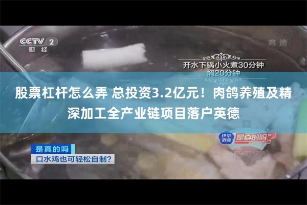 股票杠杆怎么弄 总投资3.2亿元！肉鸽养殖及精深加工全产业链项目落户英德